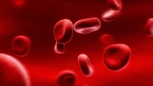 Blood-Blood-cells-Red-blood-cells