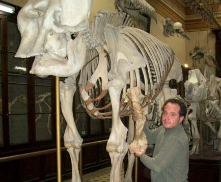 biggest-bear-ever-found-bone-comparison