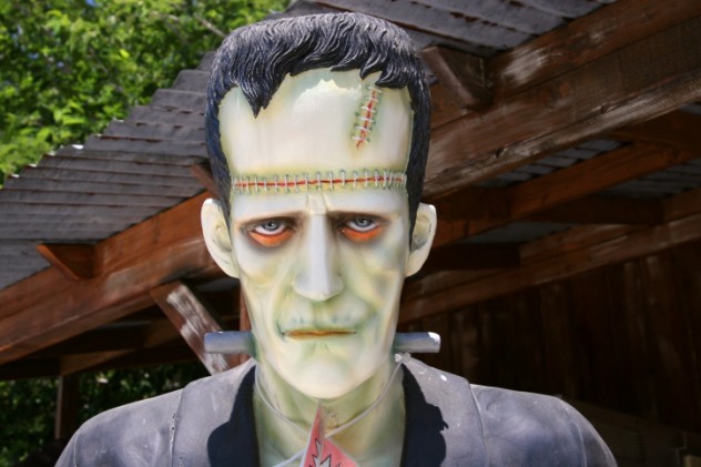 10 Things You Never Knew About Frankenstein s Monster - 46