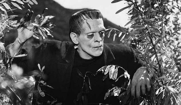 10 Things You Never Knew About Frankenstein s Monster - 6