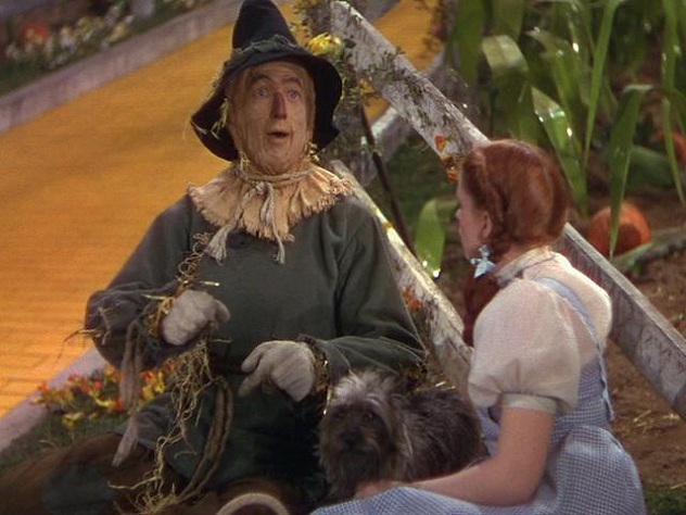 Dorothy-the-Scarecrow-and-of-course-Toto-toto-the-wizard-of-oz-11523902-640-480
