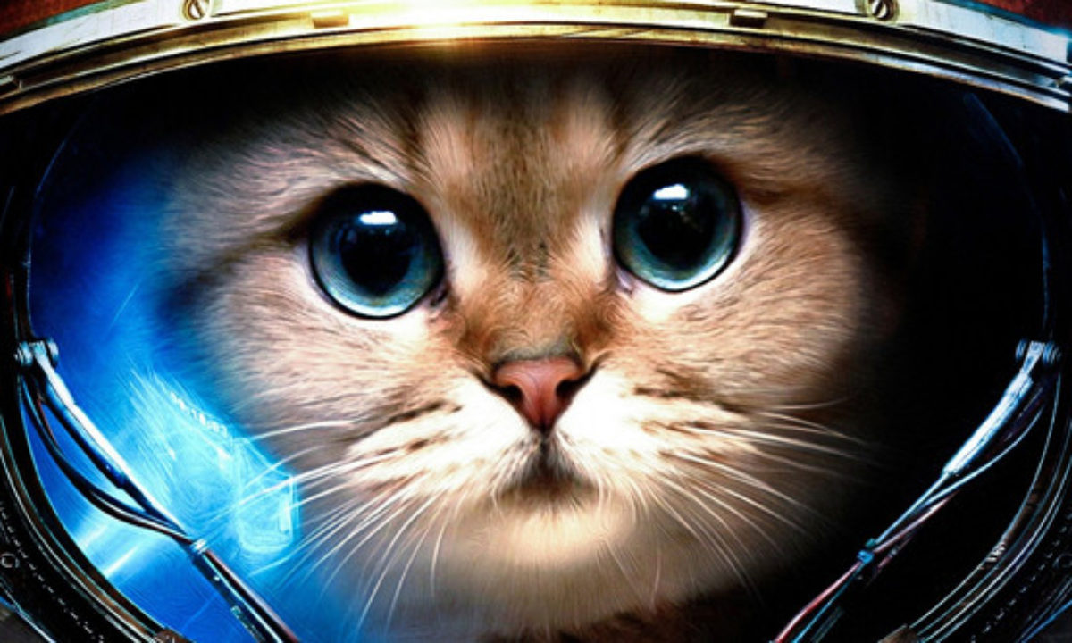 10 Animals Launched Into Space - Listverse