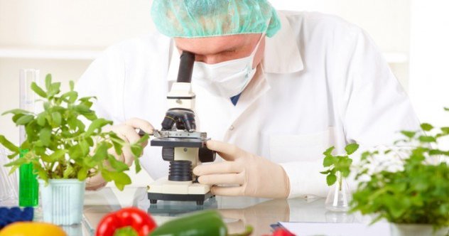 10 Bizarre Food Developments We May See In The Future - Vimarsana News