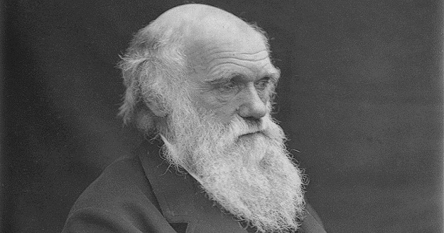 10 Strange And Interesting Facts About Charles Darwin - Vimarsana News