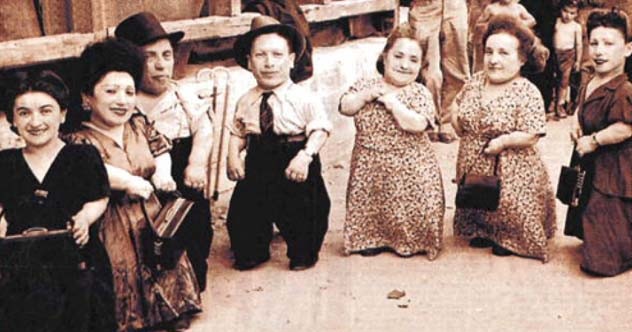 10 Little Facts About Dwarfs - Vimarsana News