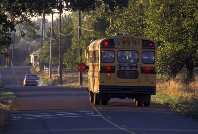 6- school bus