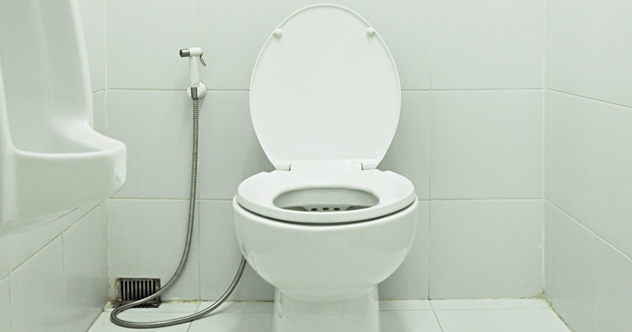 10 Bizarre Uses For Excrement - Listverse