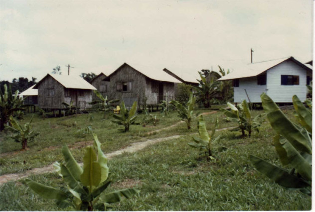 Troolie_cottages_in_Jonestown