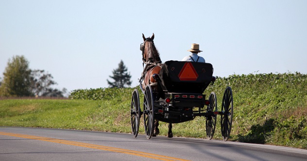 10 Weird Facts About The Amish - Listverse