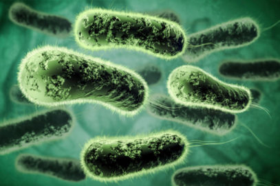 10 Ways Parasites, Viruses, And Bacteria Have Helped Human Beings ...