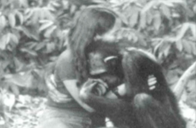 10 Cuddly Apes Who Committed Vicious Crimes - 11