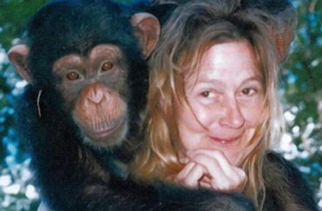 10 Cuddly Apes Who Committed Vicious Crimes - 1