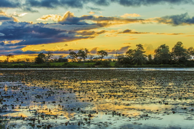 Good, Evil or Mischievous: The Legend of Latin America's El Duende -  Owlcation