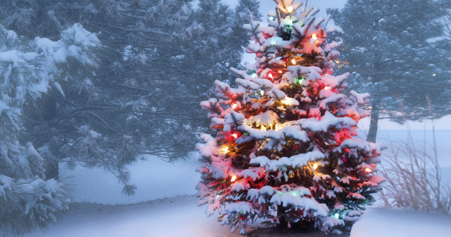Top 10 Misconceptions About Christmas - Vimarsana News