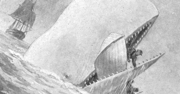 10 Great Books That Were Not Appreciated During Their Time - Vimarsana News