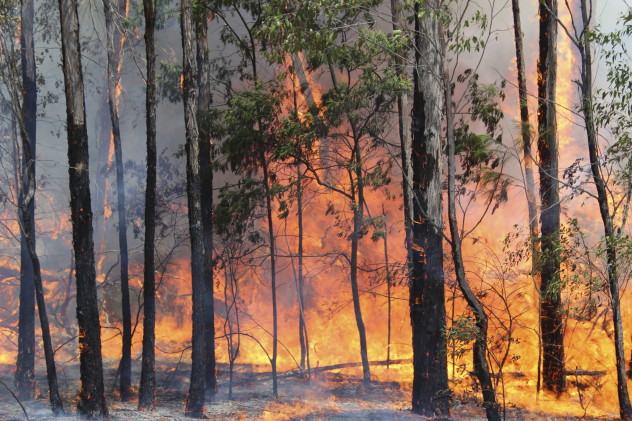 10 Times Natural Events Hit The Record Books - 37