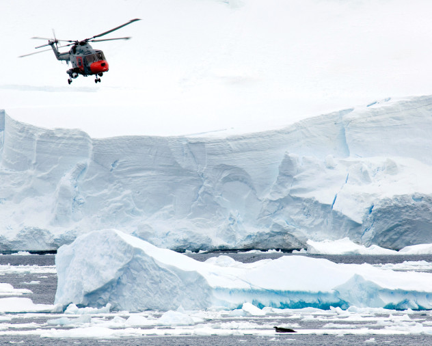 HMS Endurance's Lynx helicopter flies past a seal