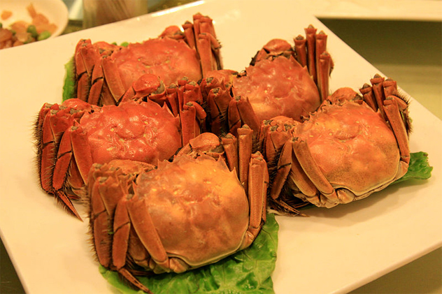 10- crabs