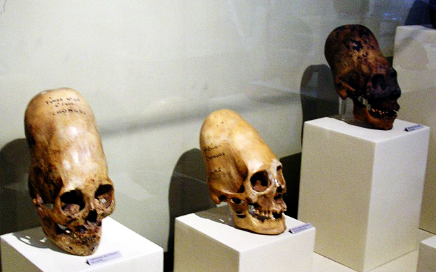 6- skulls