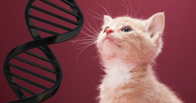 10 Pets That Put Killers Behind Bars - Vimarsana News