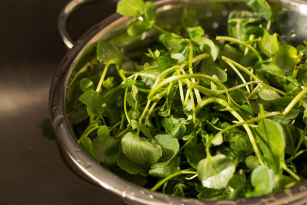 Watercress in colander after rinsing.