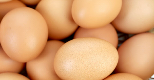 9-eggs-460245343