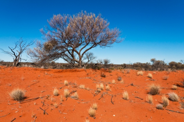 Australian Outback