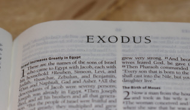 exodus-464692052