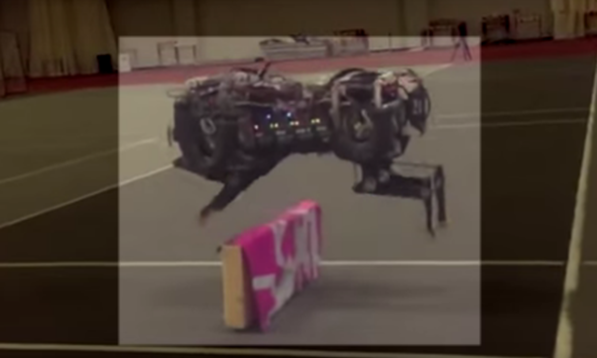 Robots that can adapt like animals