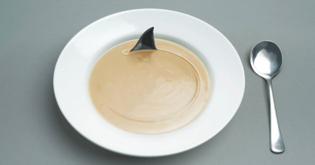 8-shark-fin-soup-178048789-feature