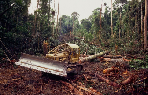 what are the negative effects of deforestation