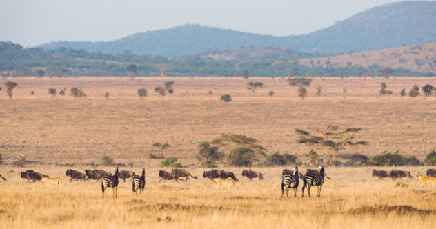 10-serengeti_000031495280_Small