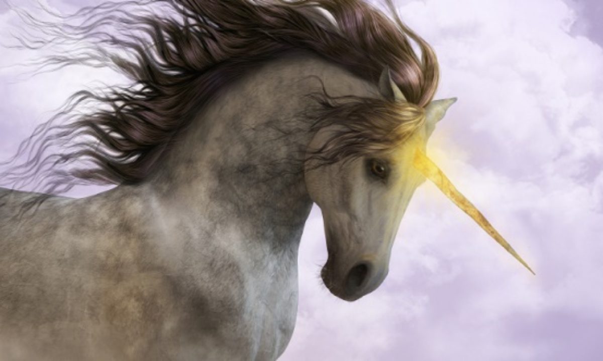 10 Unicorns Around The World You Might Not Know Of - Listverse
