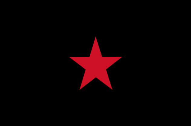 10-zapatista-demo-flag