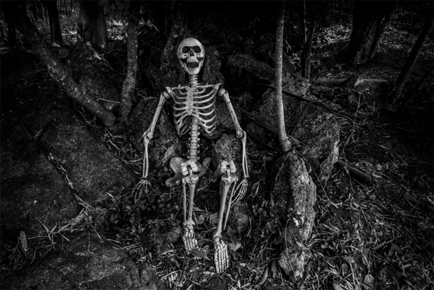 Still life photography with human skeleton in forest