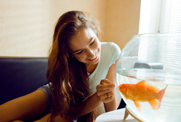 10-goldfish-in-hotel-room_000028058468_Small