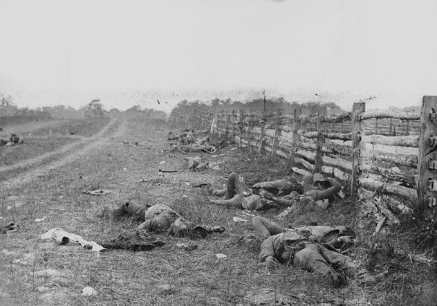 Antietam Dead