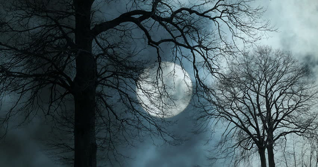 10 Dark Stories Ancients Told About Our Night Skies - Listverse