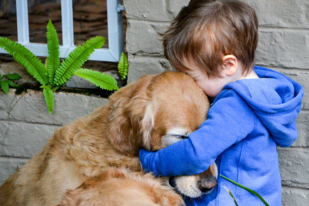 2-boy-hugging-dog_71634549_SMALL