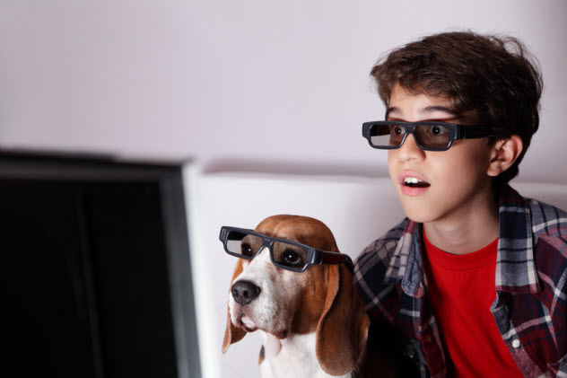 7-dog-glasses-watching-tv_31429794_SMALL