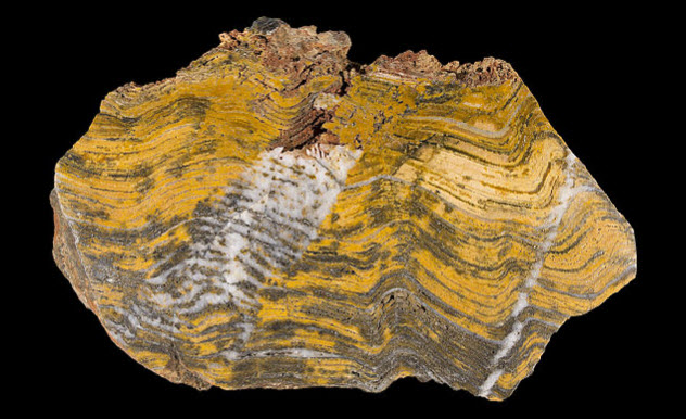 1-Stromatolites