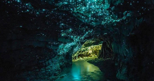 6b-Waitomo-Glowworm-Caves