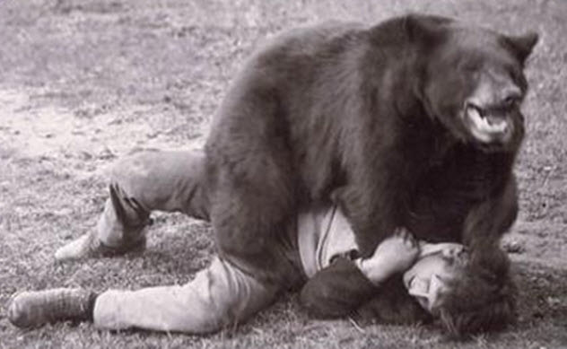 6b-bear-wrestling