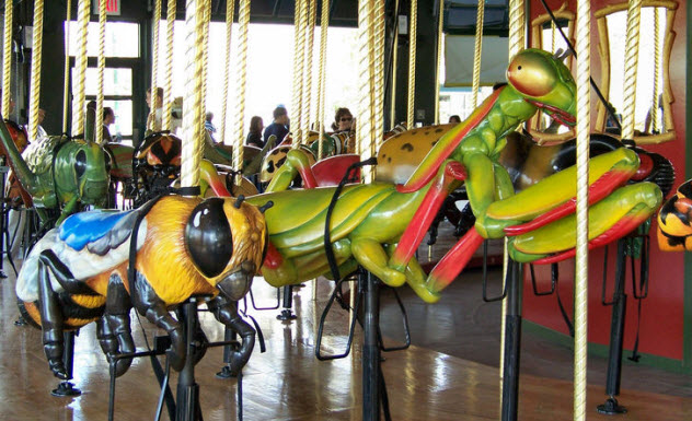 7-bug-carousel