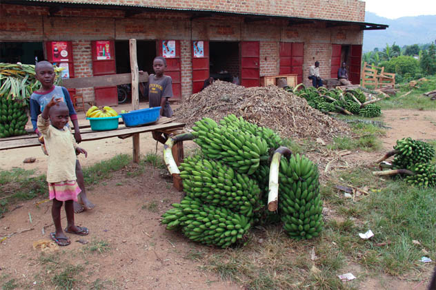Uganda: Banana Market