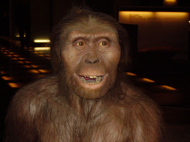 Austrolopithecus