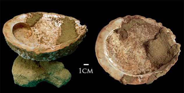 Blombos Cave Artifacts