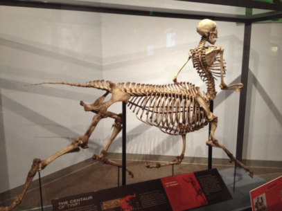 Top 10 Bizarre Skeletons - Listverse
