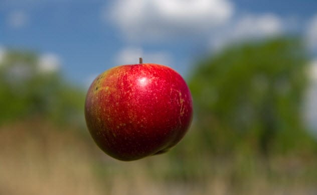 10a-levitating-apple_9326266_SMALL