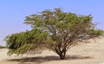 10 Recent Discoveries That Shed New Light On Ancient Civilizations ...